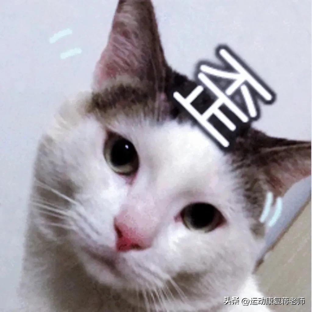 歪头斜脖子矫正方法,歪头歪脖怎么矫正