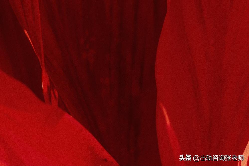 婚姻出轨:有“兔子性格”的人,往往会任人欺辱!