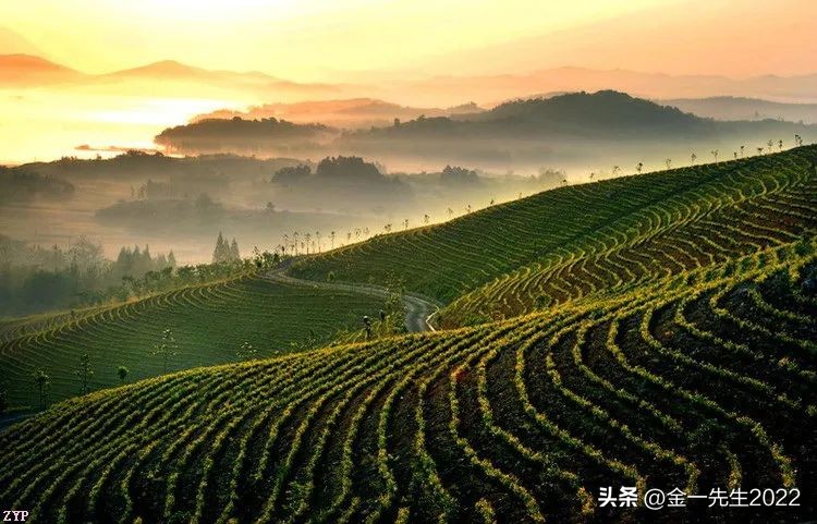 贸易保护贸易政策,贸易自由化和贸易保护主义