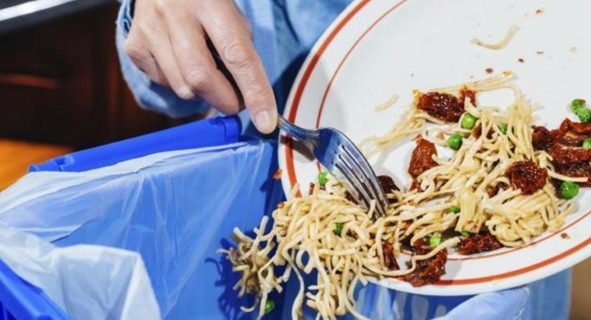 老鼠变少的原因是什么,为什么老鼠变少了