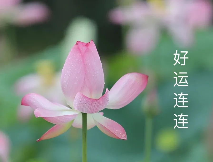 高考加油的图片,高考加油