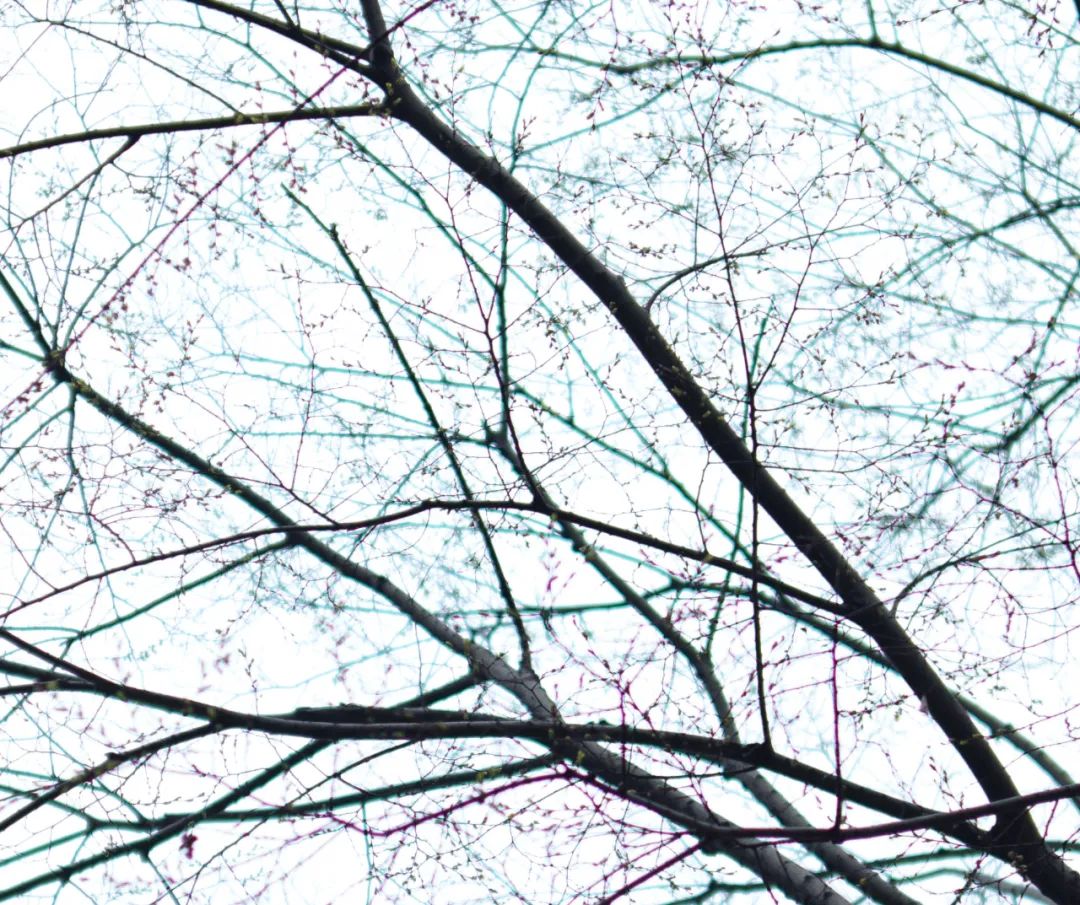 氛围感和画质我全都要！国产老蛙28mm大光圈镜头新品测评