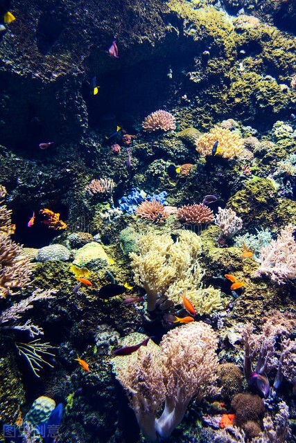 中国景观有多惊艳？这33个，去过一半，此生无憾，你去过哪几个？