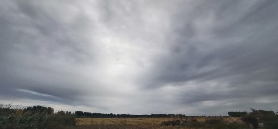 减肥养生忽悠人的套路,骗人的减肥办法都有哪些要避坑