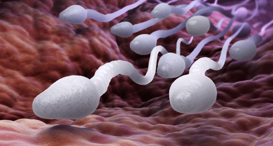 同房结束后可以用纸巾擦吗？医生坦言：3大危害，你可能无法承受