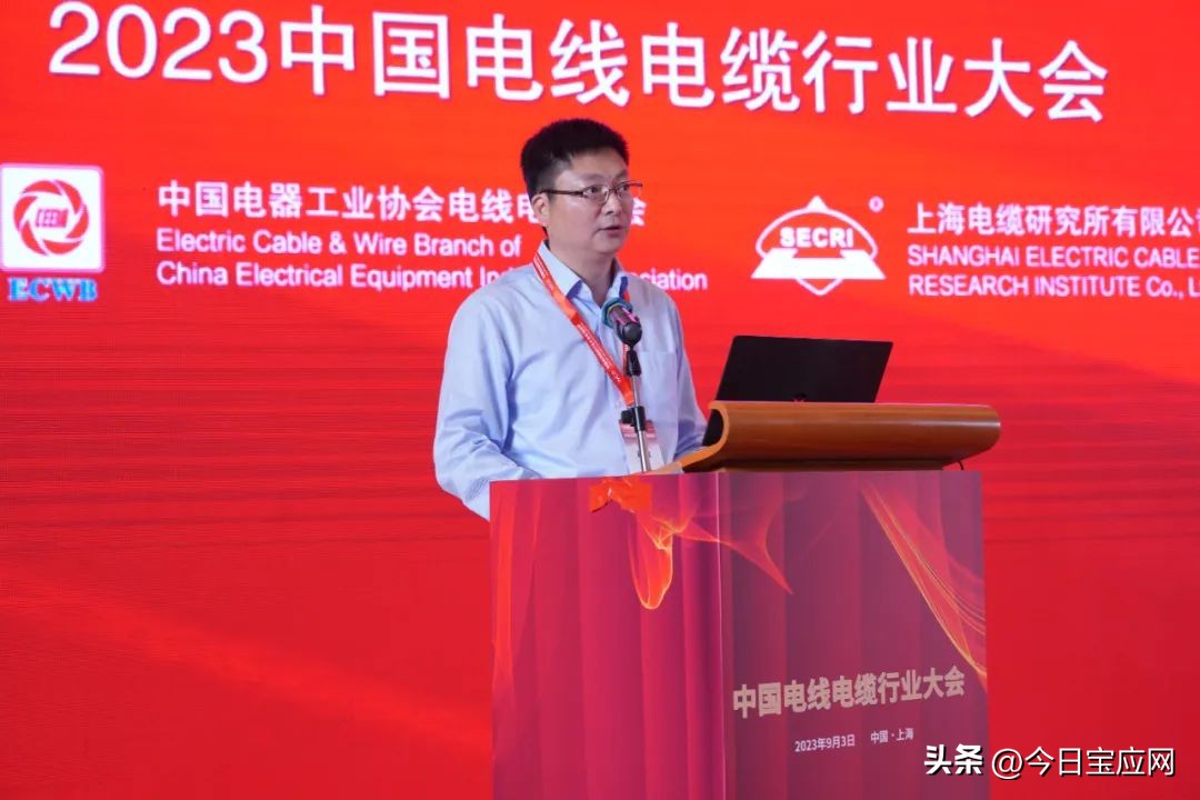 宝胜电缆中国500强排名,宝胜电缆在中国企业排名