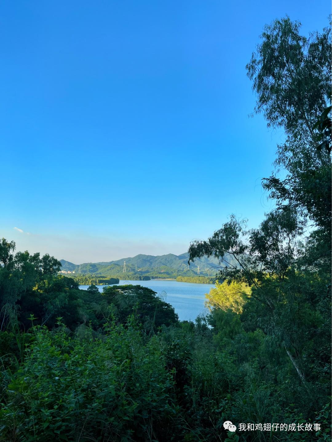 爱美丽深度解读,爱美丽150集免费观看