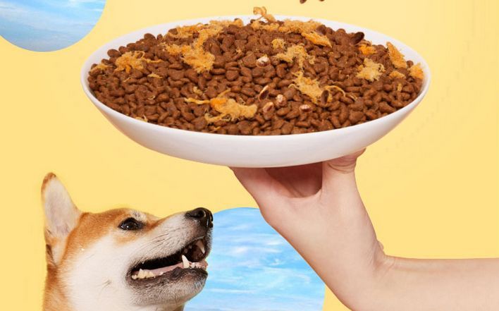 比乐豆柴麦富迪狗粮,麦富迪跟比乐鸭肉狗粮哪个好