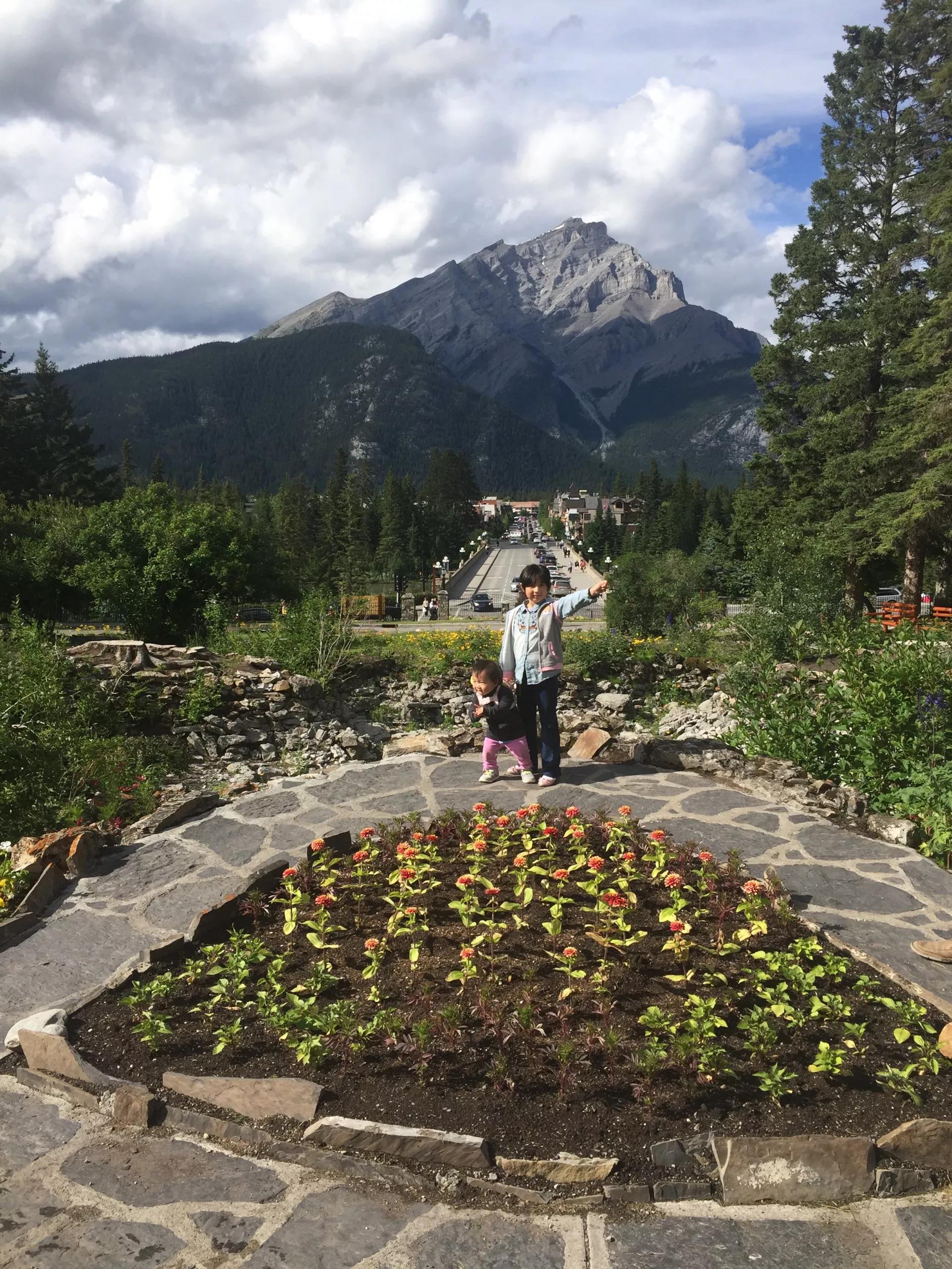青岛如何带上猫猫去加拿大多伦多,钱猫猫加拿大之旅