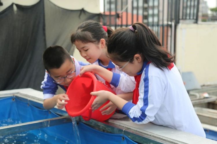 春暖花开，“植”得期待！南油小学“优优农场”春播啦！