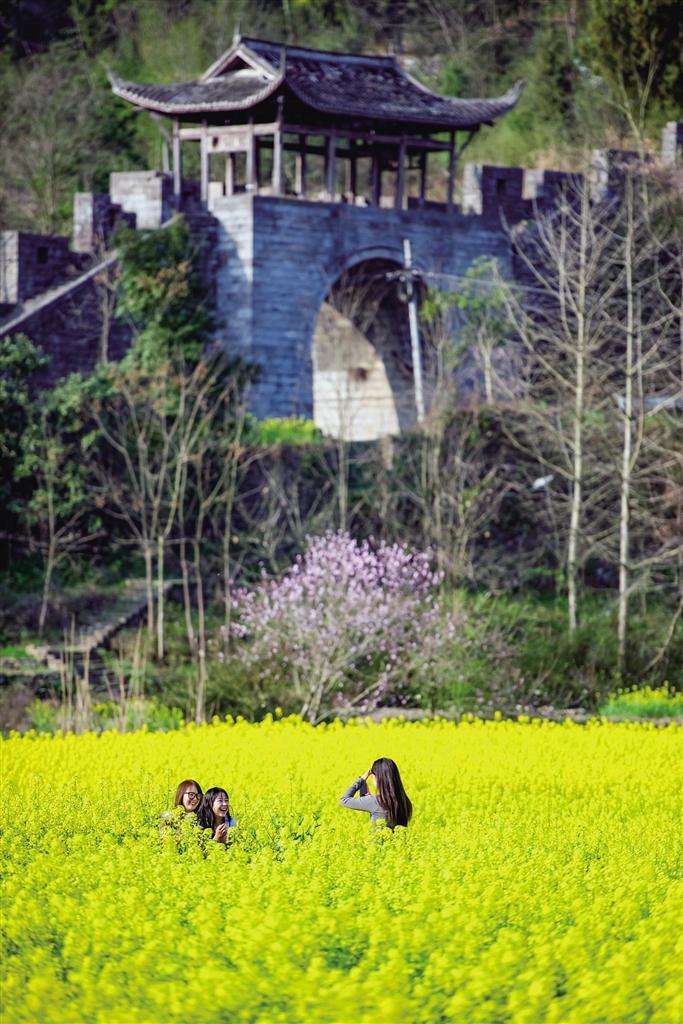春来湘西，拈朵微笑的花