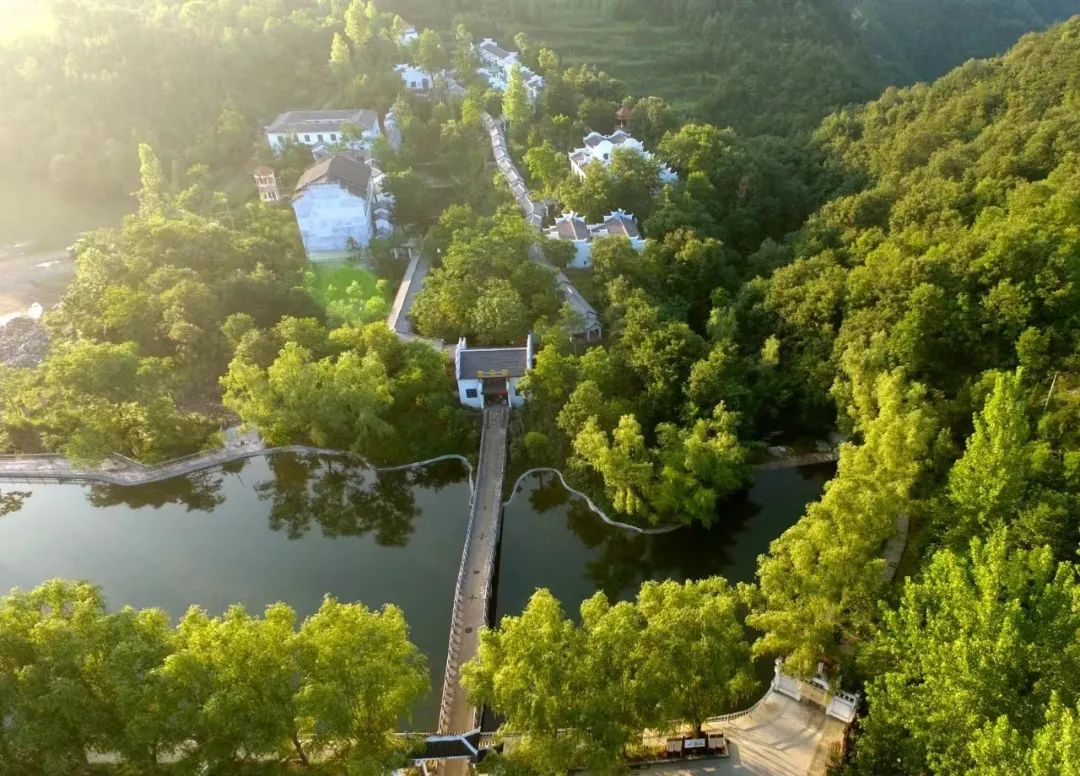 免费！半价！南漳的“爱”给特别的“她”