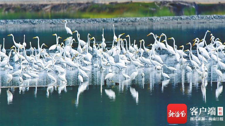 醉美东方园林游记,醉美东方城