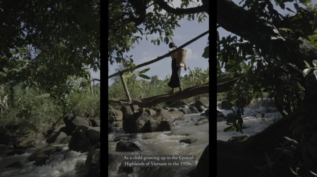 全球参展商回潮，多元文化与东南亚艺术融入主流：香港巴塞尔联动全城艺术景观