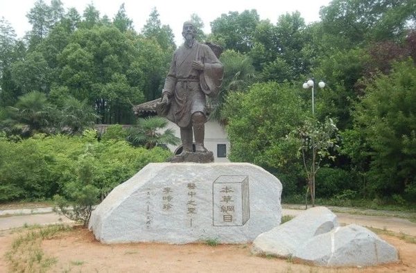 盘点各种版本本草纲目,如何读懂本草纲目