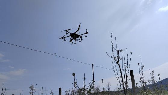 云南半山酒店项目政策,云南第一批半山酒店认定