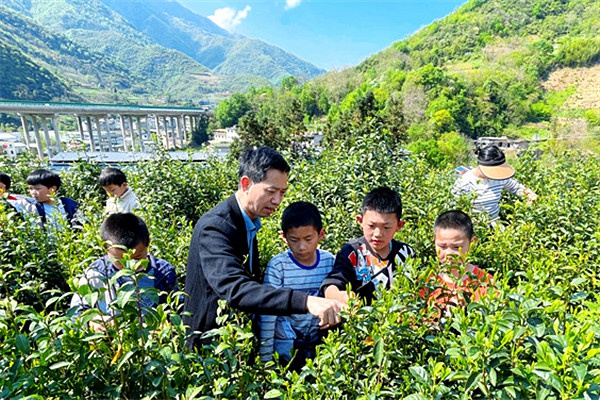 岚皋城关小学研学,岚皋县城关镇六口小学