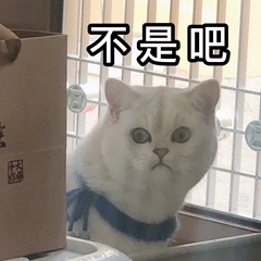 观海杂话铺433|abandon“痛失”单词圈榜首，网友告白：我的青春结束了！