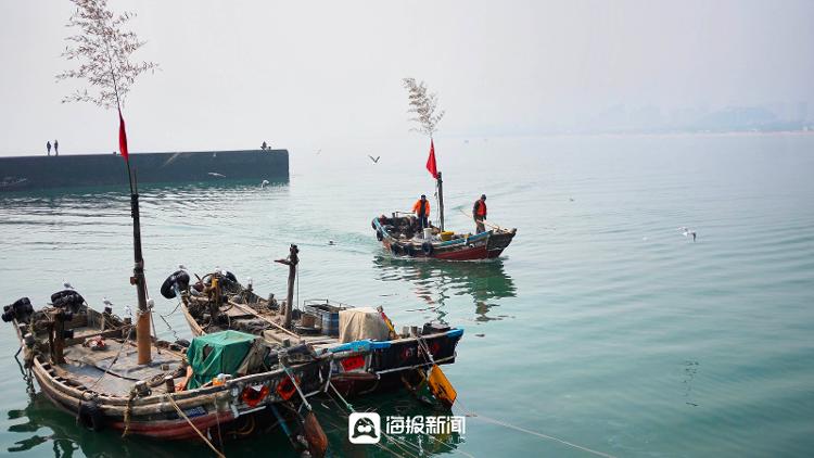 2023日照港海鲜最新报价,日照港海鲜最新价格今天