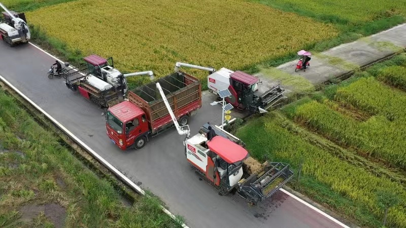 高质量发展三农,高质量农业发展与乡村振兴