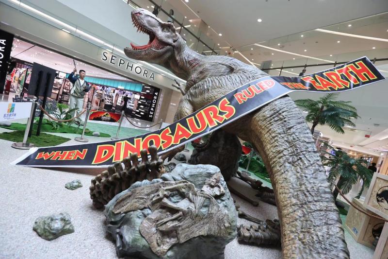 东方新天地活动,东方新天地展览