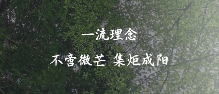 选择宝中，选择成功！宝安中学（集团）高中部诚邀全市初三学子来看看