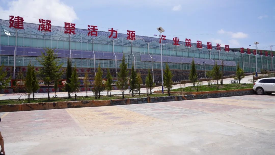 甘肃省临潭县中药材种植,临澧中药材种植成致富新途径