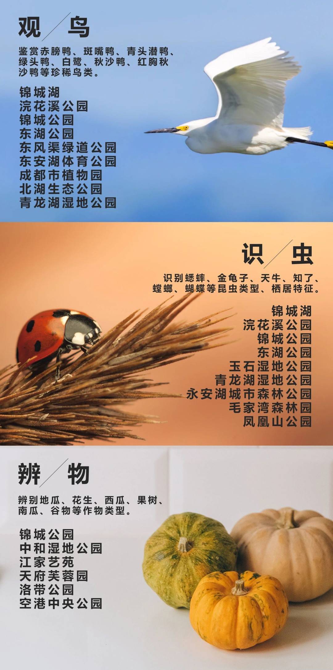 这个春节去哪里玩,这个春节怎么玩