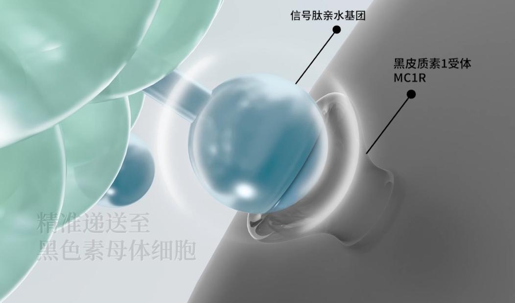 鍥戒骇楂樼鍝佺墝缇庣櫧浜у搧,鍗佸ぇ鍥戒骇缇庣櫧浜у搧