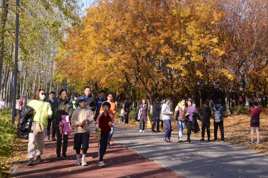 口鼻干、眼干、皮肤干燥?你需要润“秋燥”啦!