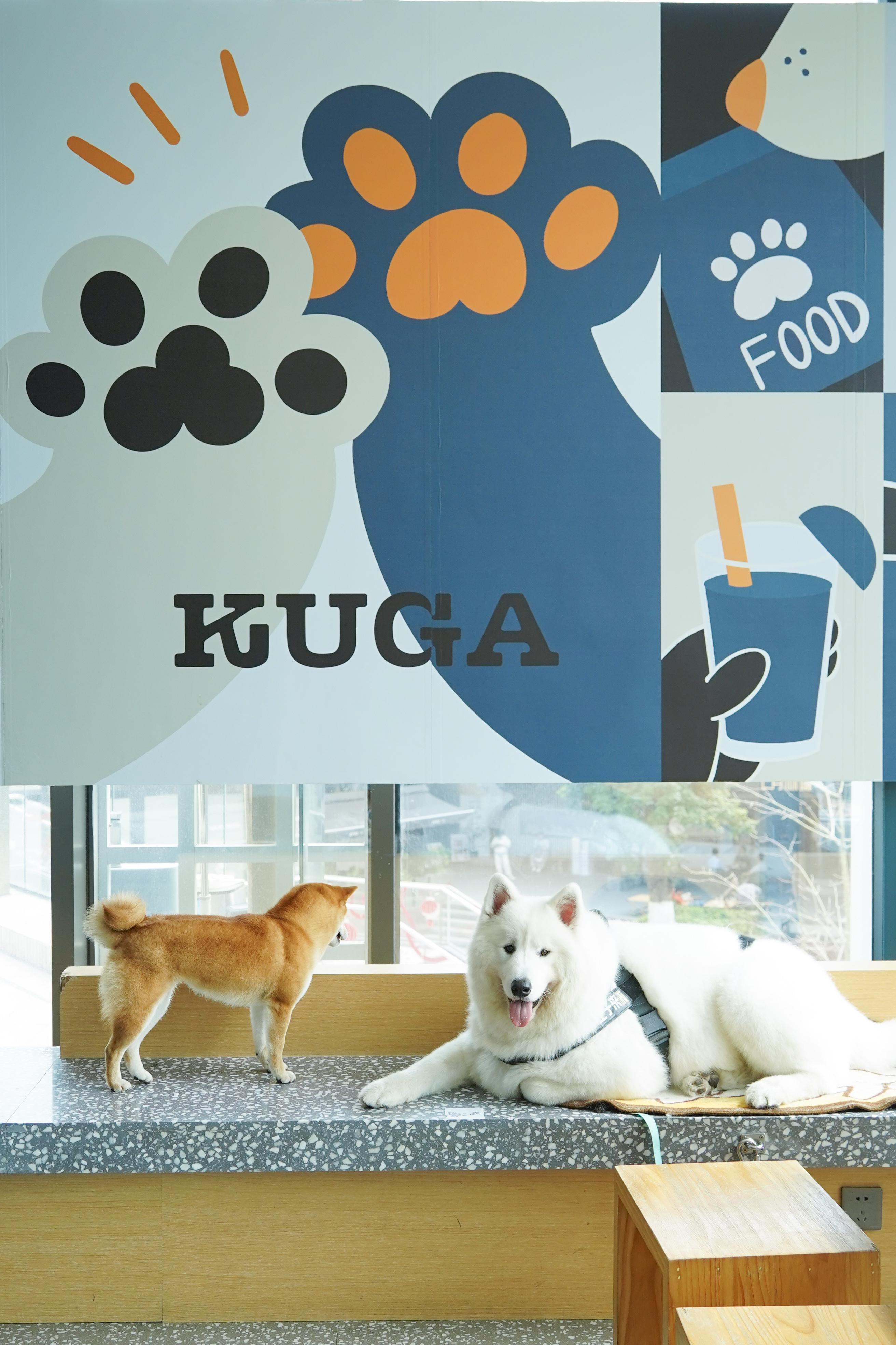 你就宠他吧谐音,你就宠他吧在线阅读