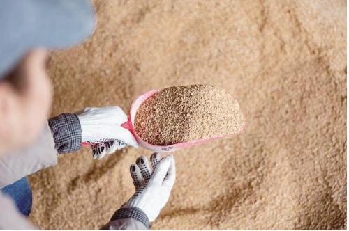 山东首位度占比,山东省排名第一产业