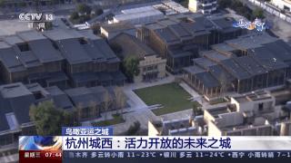 飞越浙江体验第一视角,追随足迹参观西溪湿地的心得体会