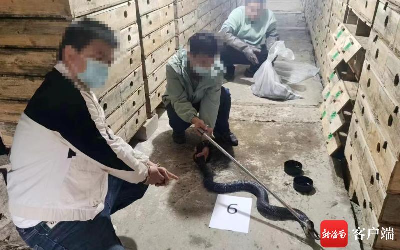 爱鸟护鸟宣传周,公安爱鸟周宣传视频