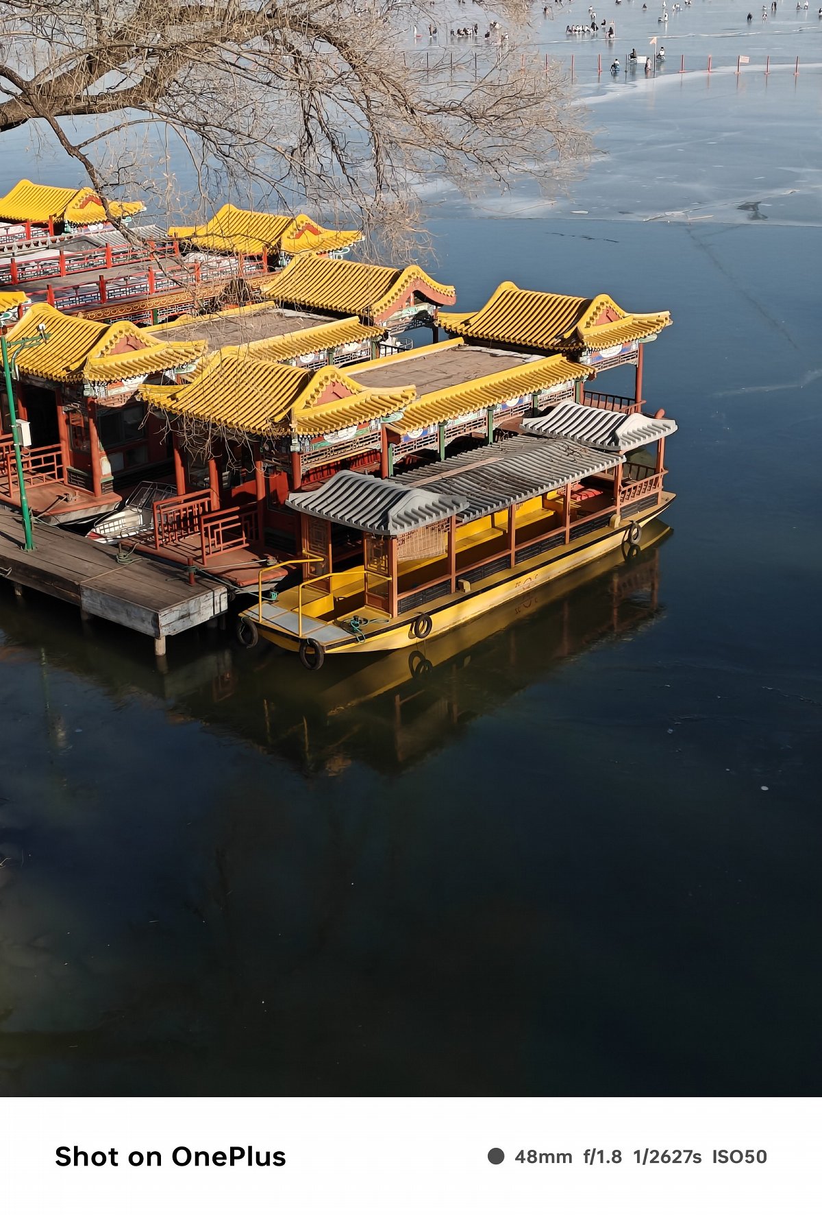 oneplus一加ace3,一加ace3