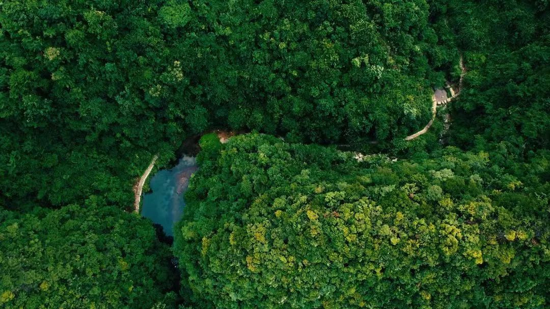 免费！半价！南漳的“爱”给特别的“她”