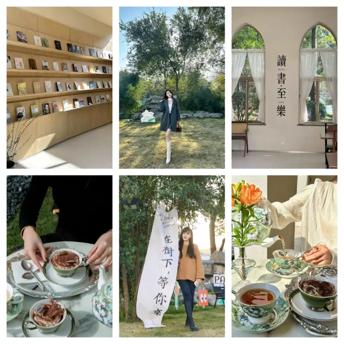 五一济南泉城公园,济南泉城公园百花齐放鸟语花香