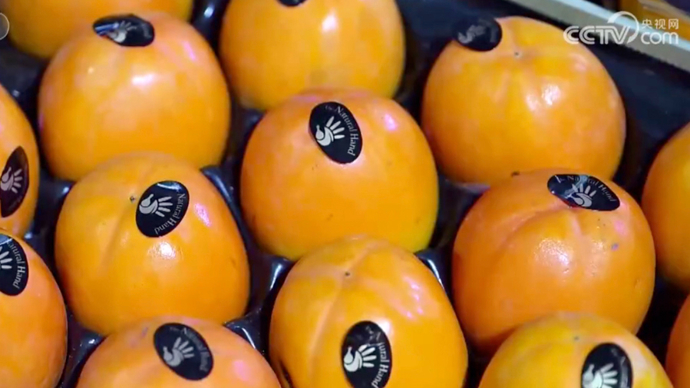 进口水果都到达中国哪些市场,中国最新的进口水果信息