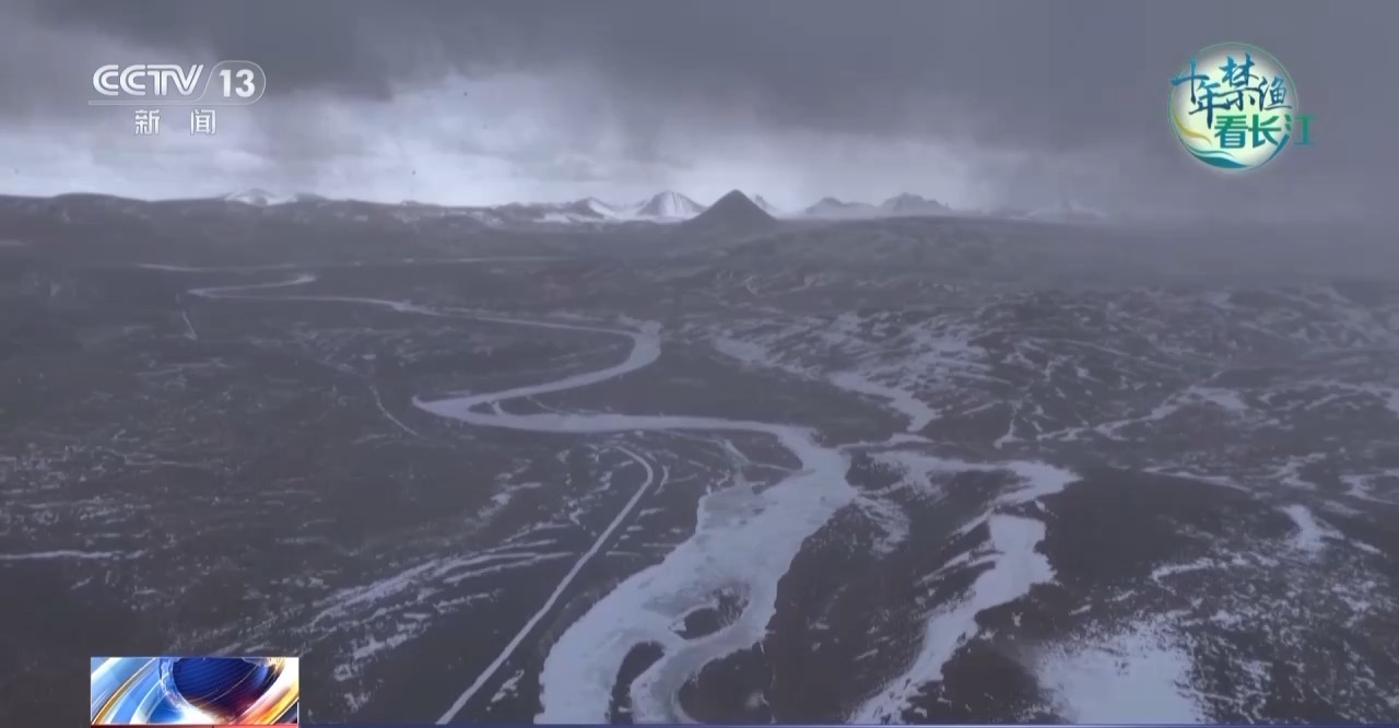 长江禁渔鱼类数据变化,长江禁渔三年多鱼儿们过得怎么样