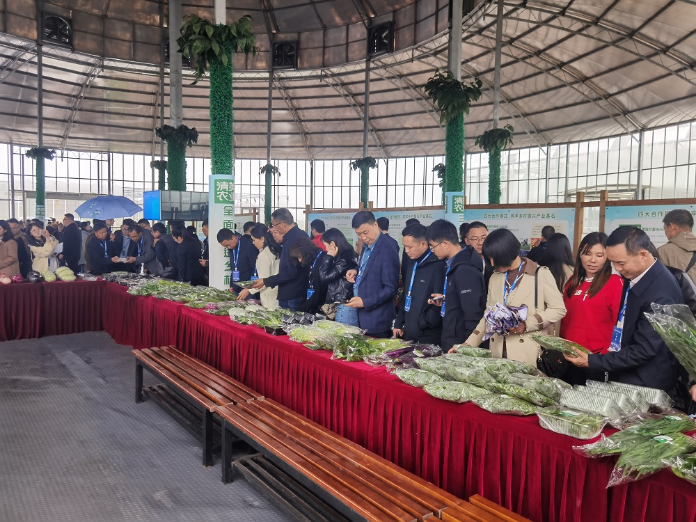 乡村振兴与规划专题培训班,最专业乡村振兴培训