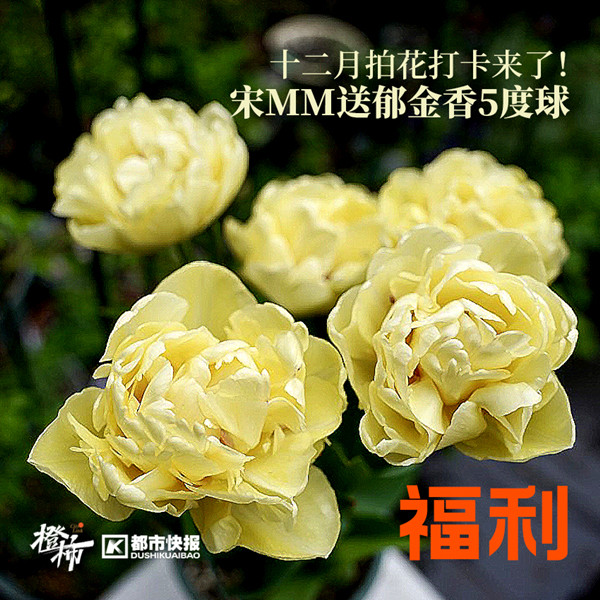 文创礼物2024,文创礼品福利品