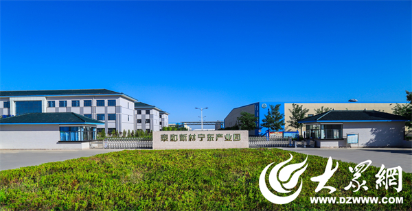 这根“烟台纤维”何以受全球青睐