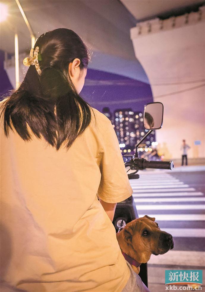 管好自家的狗才是硬道理,管好自己的狗才是真本事