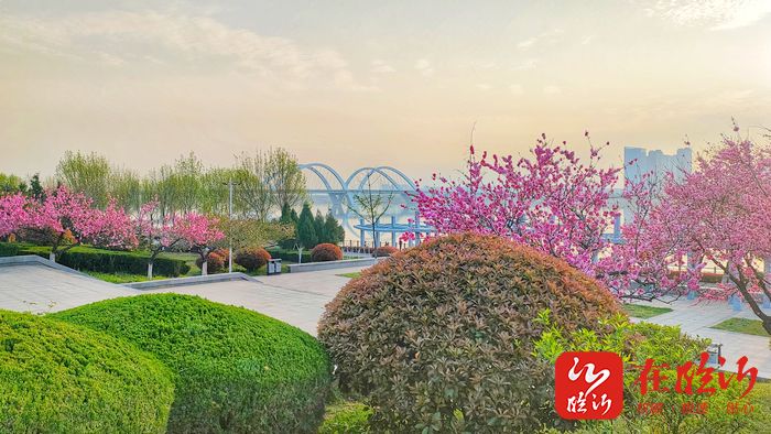 临沂持续大风降雨天气情况,临沂谷雨