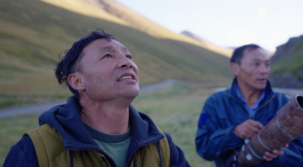 世界雪豹日宣传片,世界雪豹