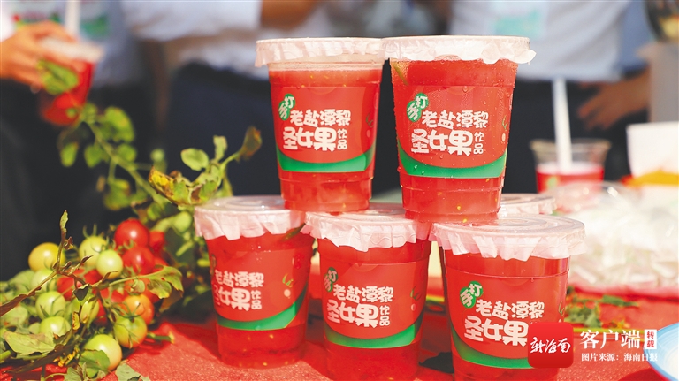 定安发展规划,定安未来的发展