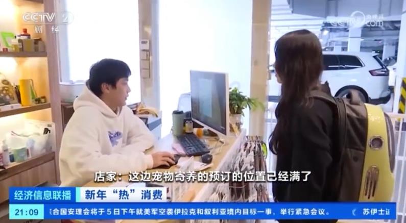 宠物寄养所的条件简直太奢华了,春节前宠物寄养火热一床难求