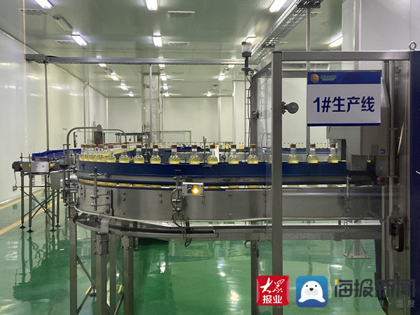 立足产业兴旺助力乡村振兴,西王庄乡村振兴发展