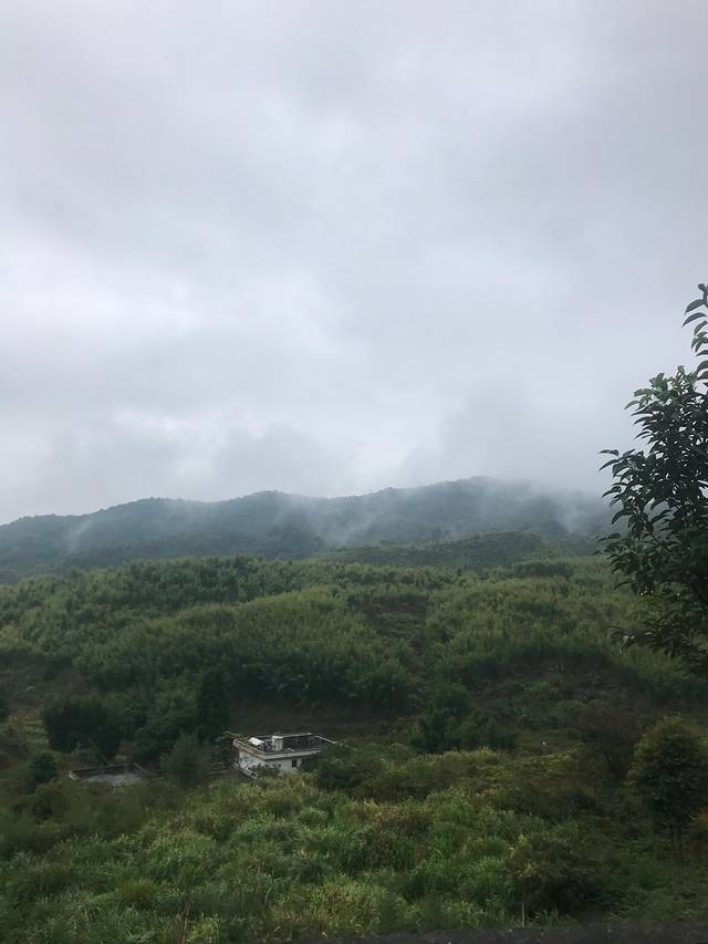 省道244自驾游攻略,最美228国道公路自驾游攻略