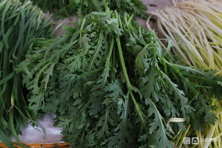 市民菜篮子有保障,市民菜篮子的视频